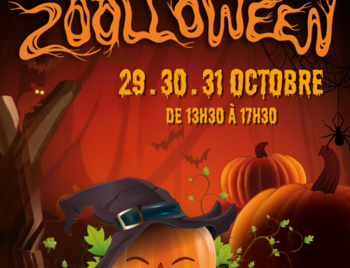 Mardi 29, mercredi 30 et jeudi 31octobre 2024, c’est ZOOLLOWEEN au Zoo des Sables !